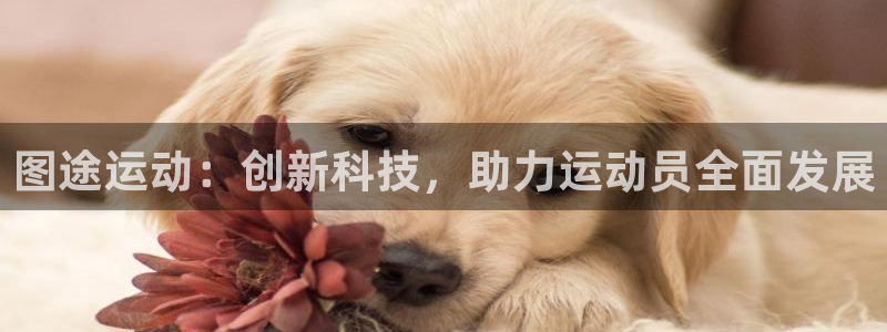 zoty中欧体育官网下载平台注册要钱吗：图途运动：创