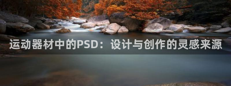 zoty中欧体育官网下载是干嘛的公司：运动器材中的P