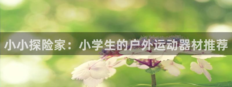 zoty中欧体育官方正版app娱乐是那个系列的台子：小小探险
