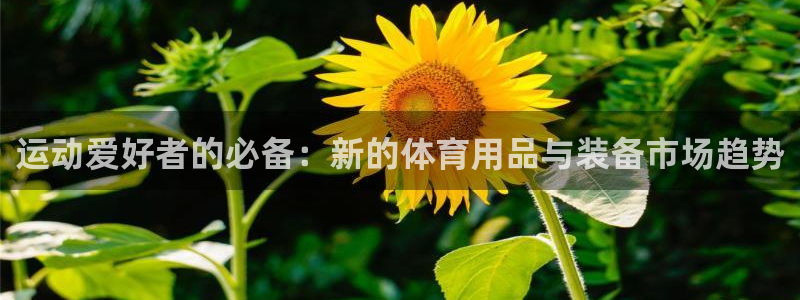 zoty中欧体育官方正版app娱乐40996：运动爱