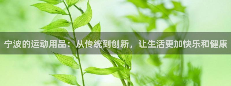 zoty中欧体育官网下载是干嘛的公司：宁波的运动用品：从传统
