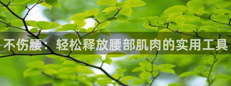 zoty中欧体育官网下载招商