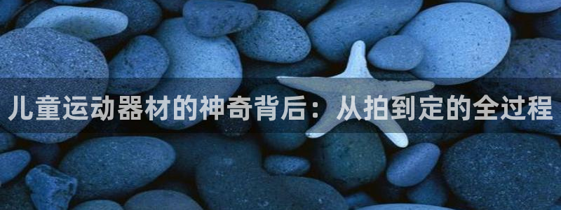 zoty中欧体育官网下载招商电话地址：儿童运动器材的