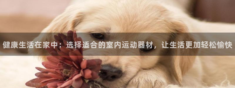 zoty中欧体育官方正版app娱乐是那个系列的台子