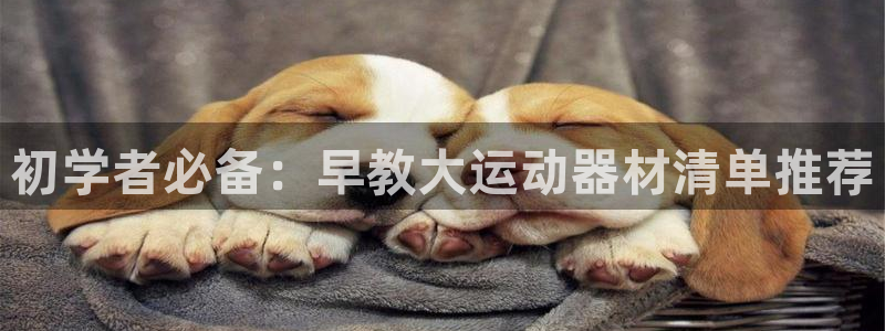 zoty中欧体育官网下载