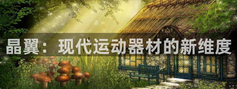 zoty中欧体育官网下载开户：晶翼：现代运动器材的新维度