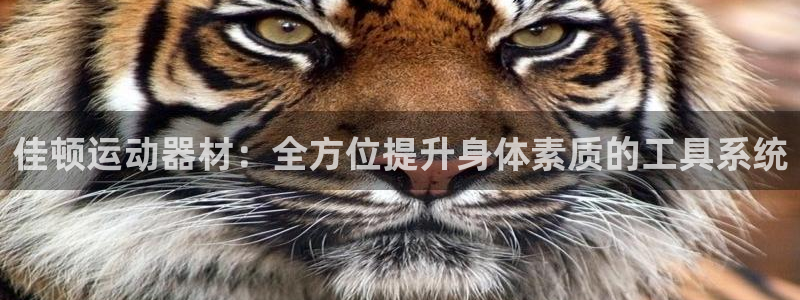 zoty中欧体育官网下载招商电话：佳顿运动器材：全方位提升身