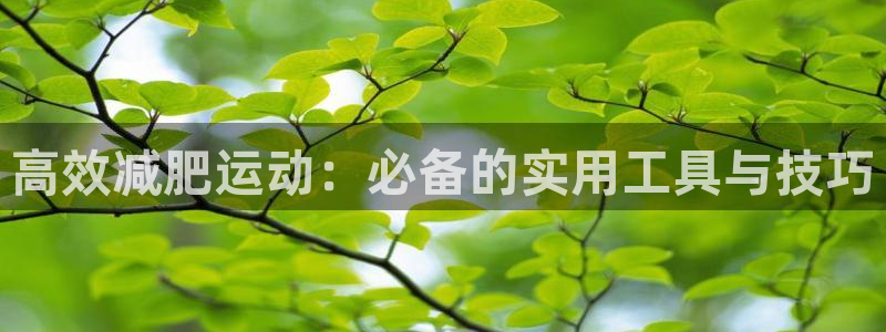 zoty中欧体育官方正版app科技：高效减肥运动：必