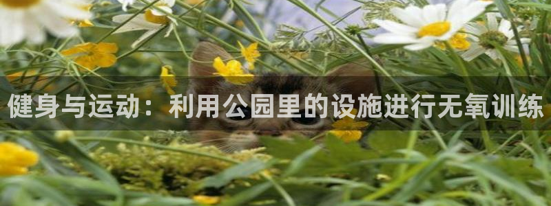 zoty中欧体育官网下载招商电话是多少号码：健身与运动：利用