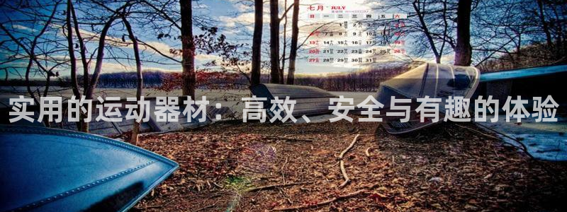 zoty中欧体育官方正版app娱乐平台：实用的运动器材：高效