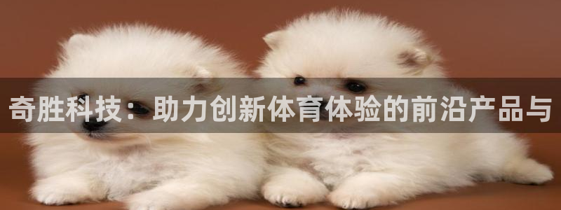zoty中欧体育官网下载娱乐：奇胜科技：助力创新体育体验的前